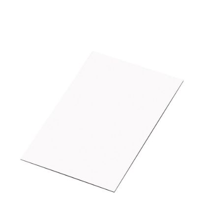 Εικόνα της BIG PANEL- STEEL GLOSS white (60x120) 0.58mm