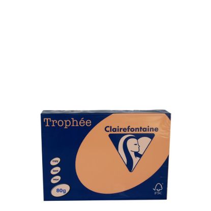 Picture of A4 80gr Peach