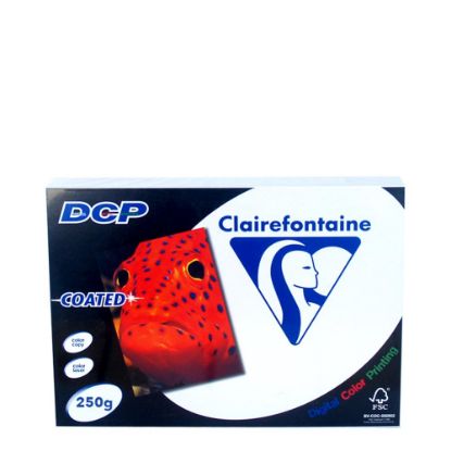Picture of DCP Coated Gloss 250gr - A3