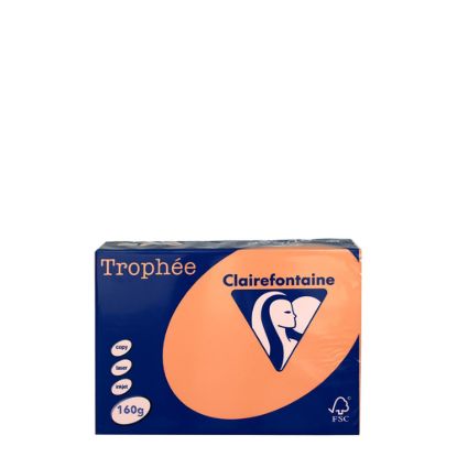 Picture of A4 160gr Orange