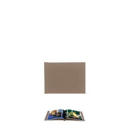 Picture of Pinchbook 10.2x15.2cm (Brown Cloth) Landscape