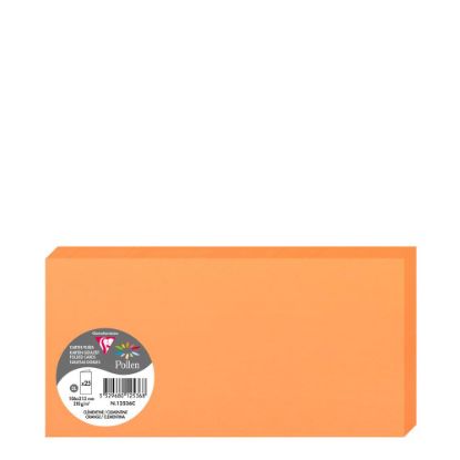 Picture of Pollen Cards 106x213mm (210gr) ORANGE