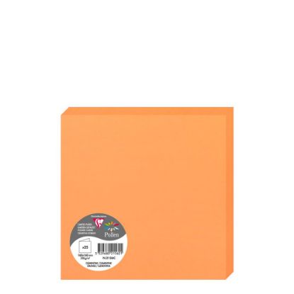 Picture of Pollen Cards 160x160mm (210gr) ORANGE