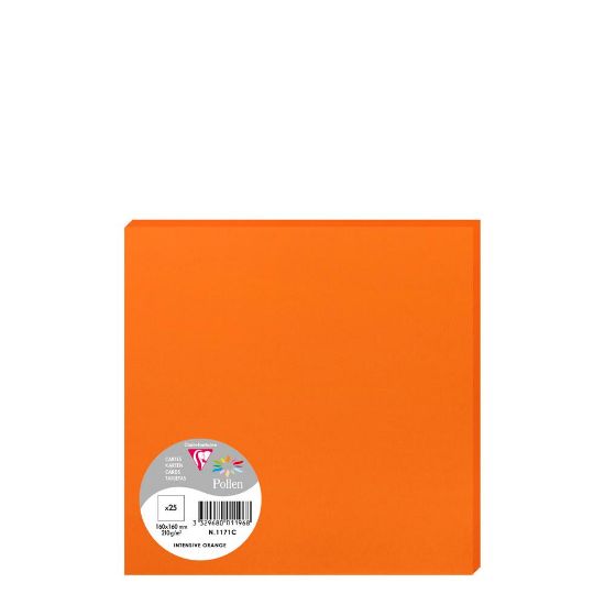 Picture of Pollen Cards 160x160mm (210gr) ORANGE INTENSIVE