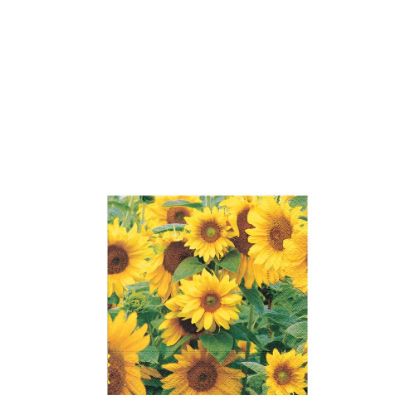 Picture of Napkins 25x25 - Field of Sunflowers