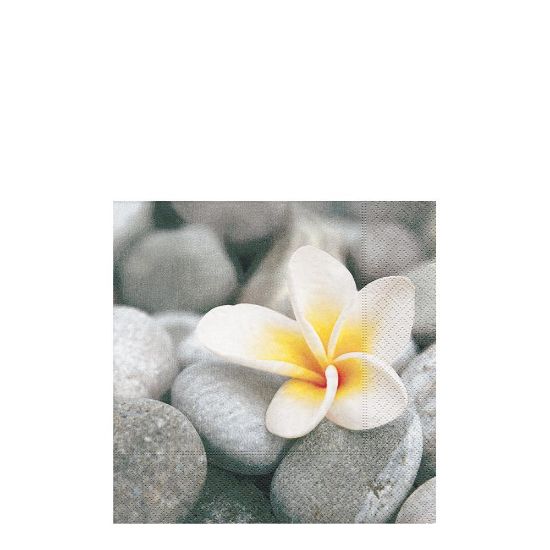 Picture of NAPKIN 33X33 PLUMERIA   -21470