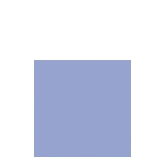 Picture of NAPKIN 33X33 LIGHT BLUE -28103