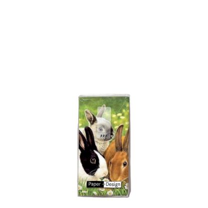Picture of HANKIE- LITTLE RABBITS  -01069