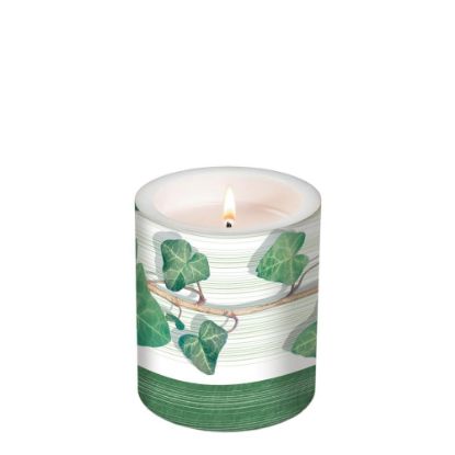 Picture of CANDLE 10.5X12-IVY      -98055