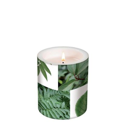 Picture of CANDLE 10.5X12-VARIOUS L-98166