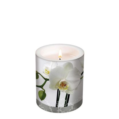 Picture of CANDLE 10.5X12-SILENT BE-98192