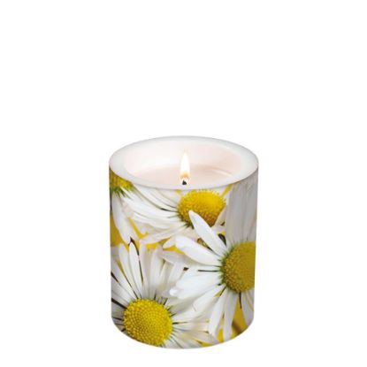 Picture of CANDLE 10.5X12-WHITE BEL-98266