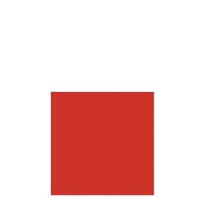 Picture of SLIP COVER-RED          -91110