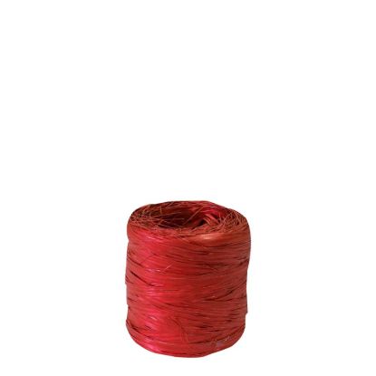 Picture of RIB.RAFFIA-SYNT.RED   -601906C