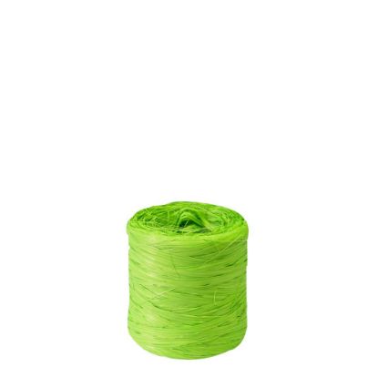 Picture of RIB.RAFFIA-SYNT.GREEN -601943C