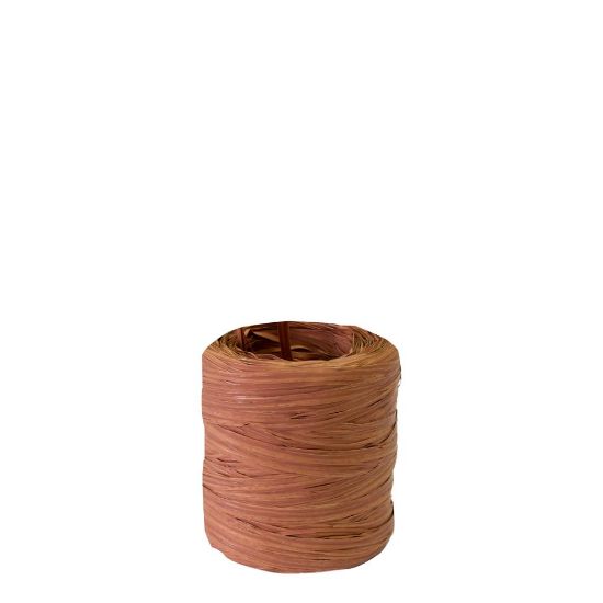 Picture of RIB.RAFFIA-SYNT.BROWN -601949C