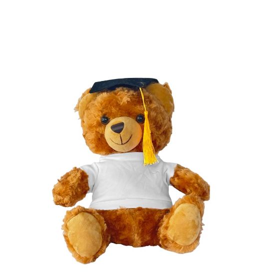 Picture of Teddy Bear (Graduation) 25cm with T-Shirt